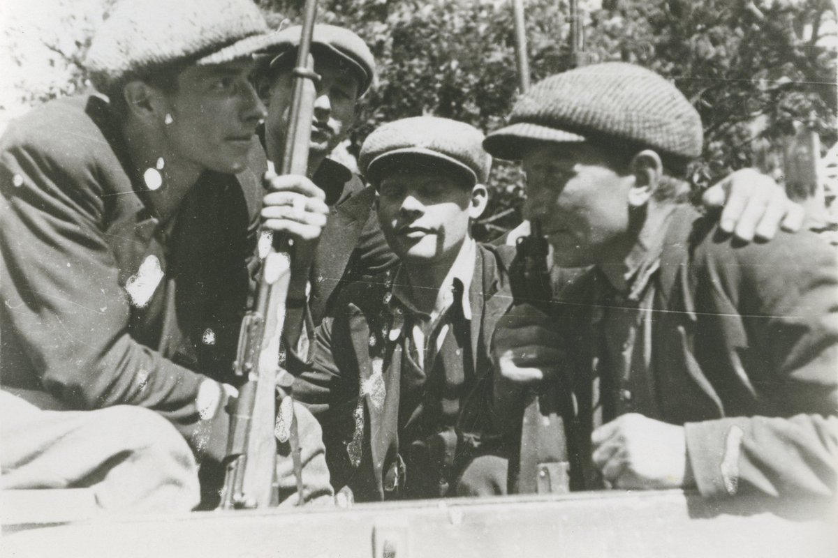 EKSPERT VASTAB | Kas 21. sajandil oleks metsavendlus jälle võimalik või mitte?