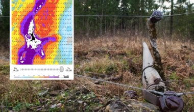TORMIHOIATUS! Nädalavahetusel on oodata tugevat tuult ja madalaid temperatuure - Õhtuleht