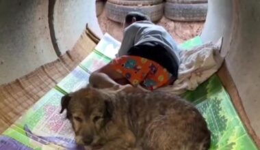 VIDEO | Trumpi vahendatud relvarahu katkes. Tai armee ründas Kambodža vaidlusalust piiriala