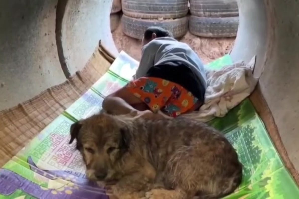 VIDEO | Trumpi vahendatud relvarahu katkes. Tai armee ründas Kambodža vaidlusalust piiriala