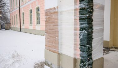 Harju maakohus mõistis riigikogu samba sodijale 20 päeva aresti