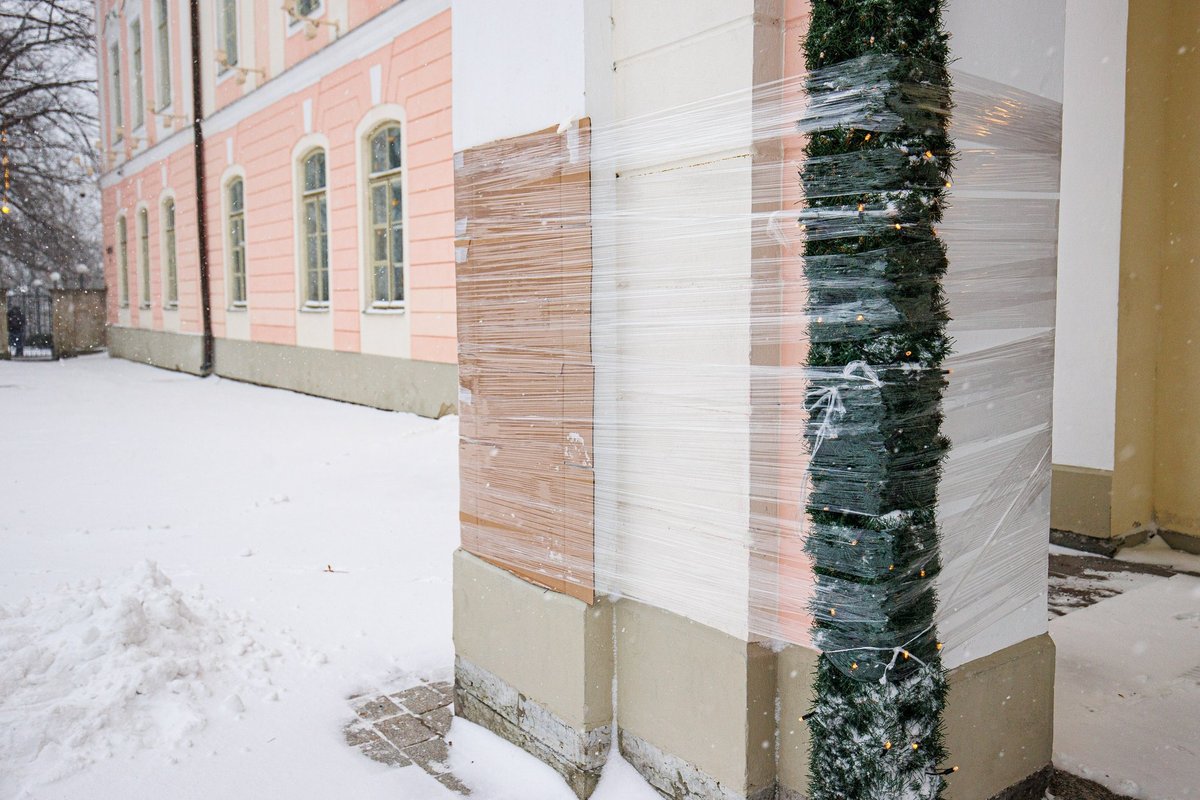 Harju maakohus mõistis riigikogu samba sodijale 20 päeva aresti