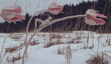 Lühianimafilm “Linnud läinud” võitis Londonis peaauhinna