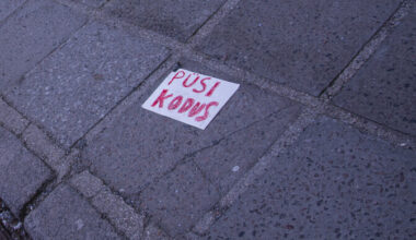 Doktoritöö: koroonakommunikatsioon jättis tõrjutute vajadused tahaplaanile | Ühiskond