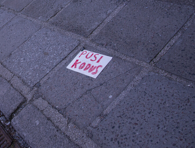 Doktoritöö: koroonakommunikatsioon jättis tõrjutute vajadused tahaplaanile | Ühiskond