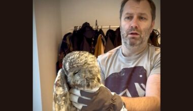 FOTOD | Kristjan Hirmo avastas oma maakodu korstnast ootamatu metsaeluka