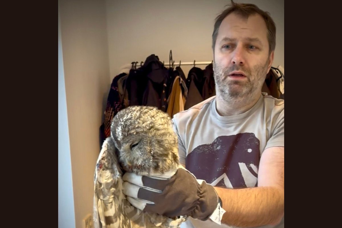 FOTOD | Kristjan Hirmo avastas oma maakodu korstnast ootamatu metsaeluka