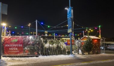 ÜLEVAADE | Kui palju maksab tänavu jõulupuu?