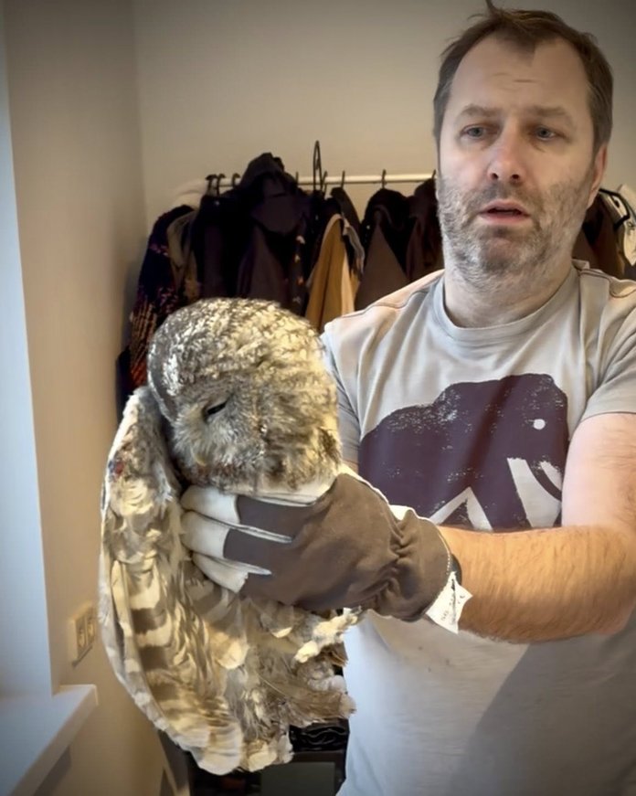 Kristjan Hirmo maakodu korstnasse lendas kakk