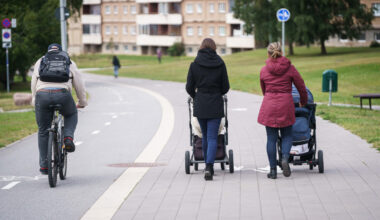 Sõjaõhutamise asemel tuleb tegeleda rahvastikuprobleemiga