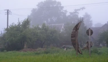 Raul Oreškin. Killud toovad õnne! "Maale elama" – Edasi