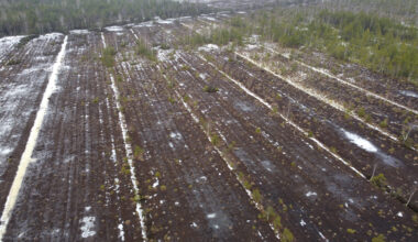 Turvalepa keskkonnaluba lükkus taas edasi