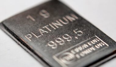 Järsult kallinenud plaatina turul on ka tänavu puudujääk