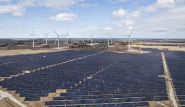 USAs buumivad päikesepargid Donald Trumpi vastuseisust hoolimata