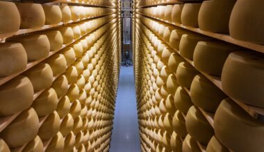 Majandus jätkas kolmandas kvartalis väikest kasvu