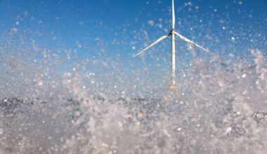 Föderaalkohtunik tühistas Trumpi uute tuuleparkide rajamise keelu