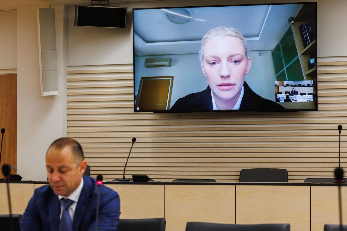 Ilmar Raag: esitame MTÜ Slava Ukrainiga hagi Lehtme vastu ja nõuame kahju hüvitamist