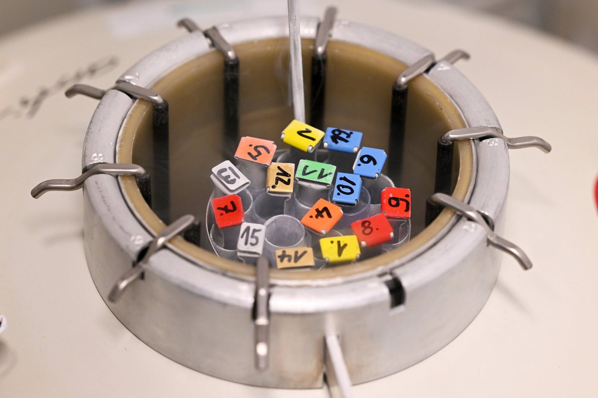 Vähki tekitava geeniga doonori spermat kasutati Euroopas ligi 200 lapse sigitamiseks