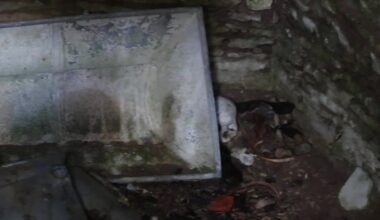 „Hauakambrist pole midagi leida!“ Kes on Varbla kirikuaias vedeleva auguga pealuu salapärane omanik?