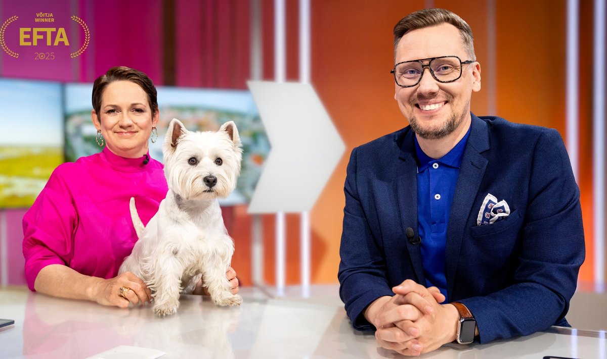 HEA ELU Nublu tunneb end telestuudios Romi Hasa ja Kristjan Goldi seltsis hästi, aga veel parema meelega veedab ta aega režiiruumis diivani all pikutades ja Kanal 2 valvelauas snäkke nuiates.