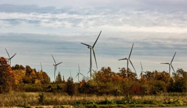 Kuidas võiks väike riik kujuneda rohemajanduse võtmemängijaks?