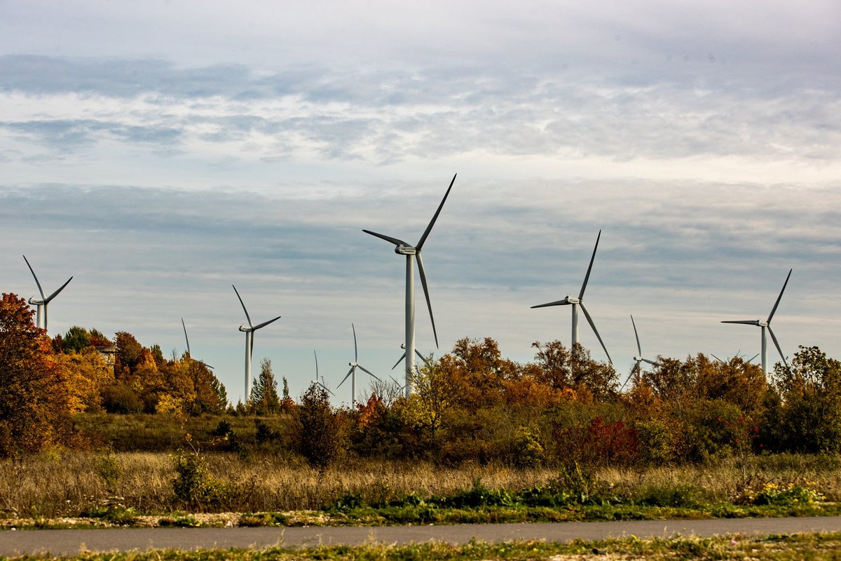 Kuidas võiks väike riik kujuneda rohemajanduse võtmemängijaks?