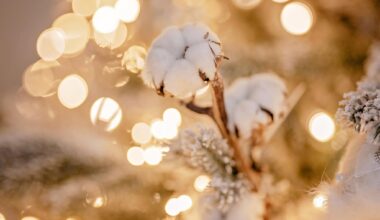 Tartus võetakse uus aasta vastu kontserdiga Vabaduse puiesteel