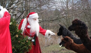 Hiiliv talv ja päikesesäras jõuluvanad