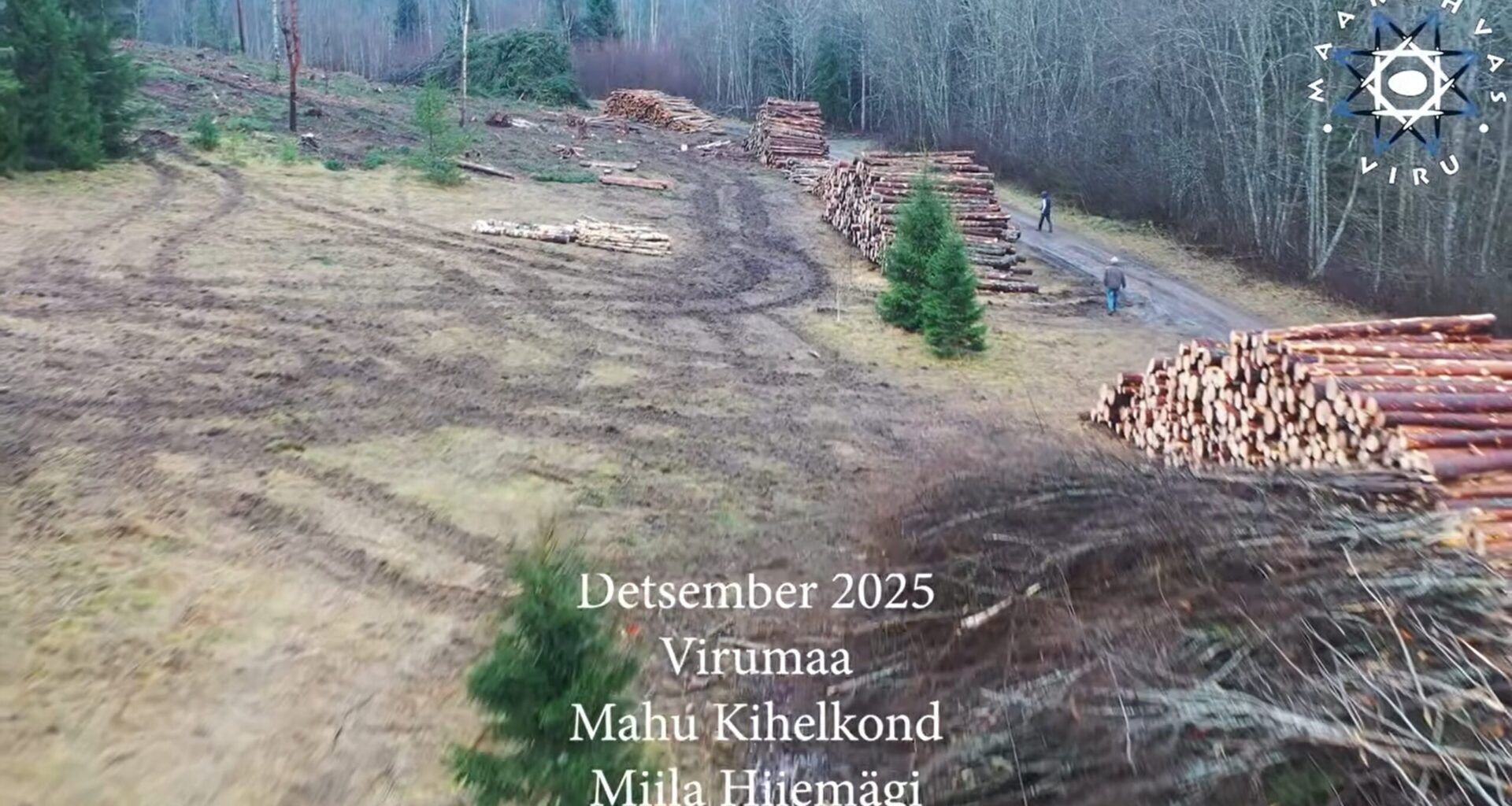 Video! Järjekordne keskkonnakuritegu: Miila hiiemäe rüüstamine