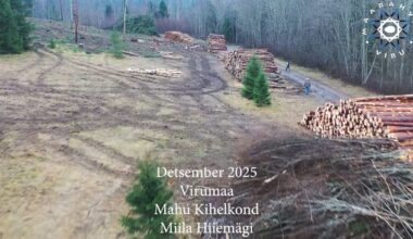 Video! Järjekordne keskkonnakuritegu: Miila hiiemäe rüüstamine