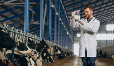 Piima kokkuostuhind kasvas novembris aastaga 8 protsenti 505 euroni