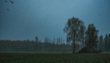 PÄEVAHOROSKOOP: esmaspäev, 22. detsember - Õhtuleht