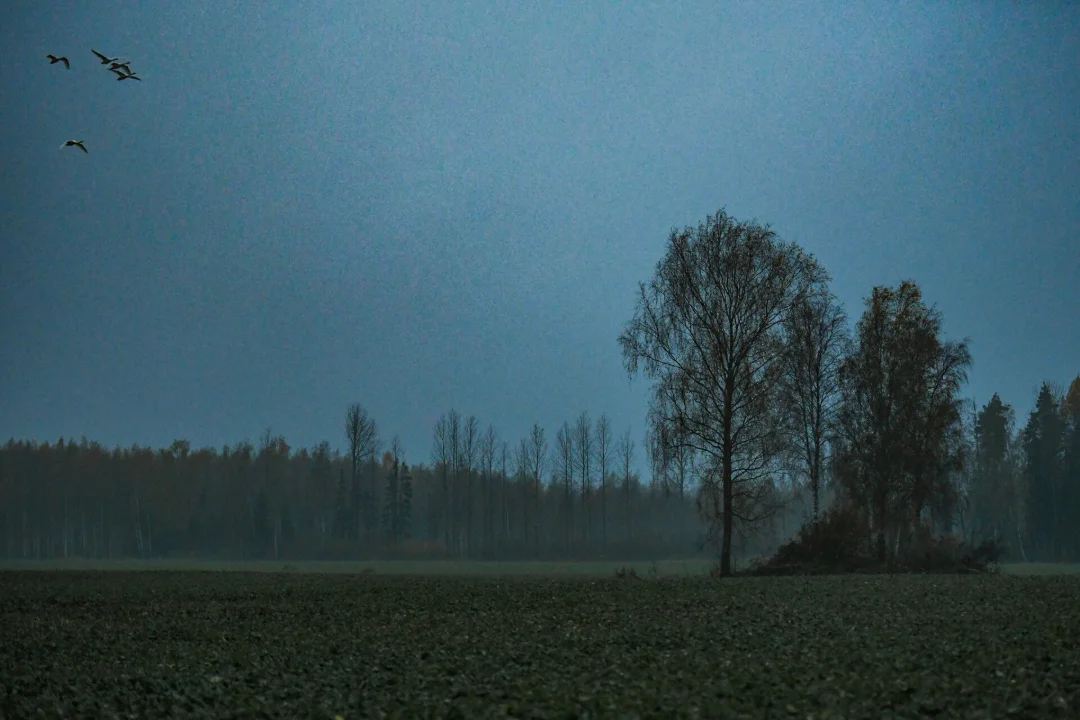 PÄEVAHOROSKOOP: esmaspäev, 22. detsember - Õhtuleht