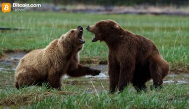 Bitcoin kaotab 90 000 dollarit, karud koguvad üle 200 miljoni dollari likvideerimisi - Bitcoin.com News