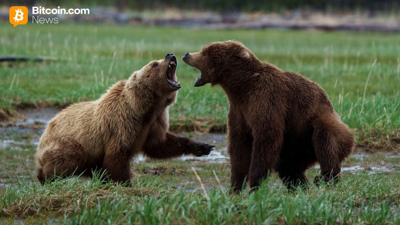 Bitcoin kaotab 90 000 dollarit, karud koguvad üle 200 miljoni dollari likvideerimisi - Bitcoin.com News