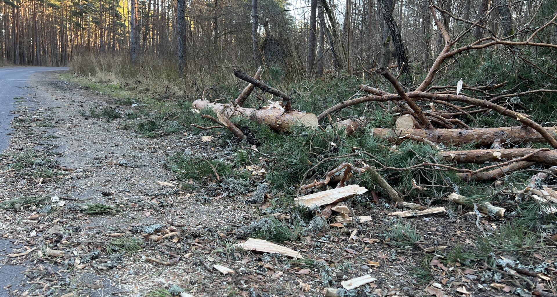 Torm jättis mehe katusele lõksu