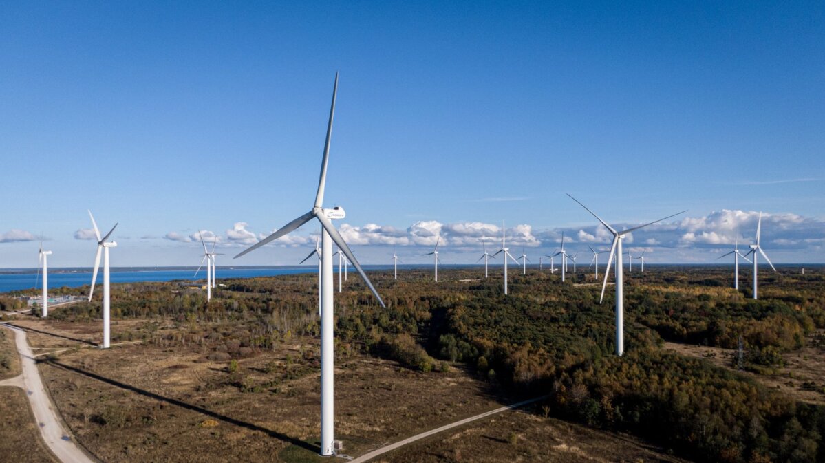 Rohetehnoloogia liidu juht: energiatõhususest on saanud julgeolekuküsimus