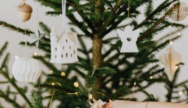 Kantar Emor: looduslik jõulupuu edestab kunstpuud, jõuluvana on oodata igasse kaheksandasse peresse - Tre Raadio