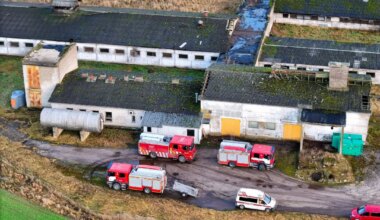 Viljandimaa sigalas kukkusid alla laepaneelid, sadakond looma hukkus