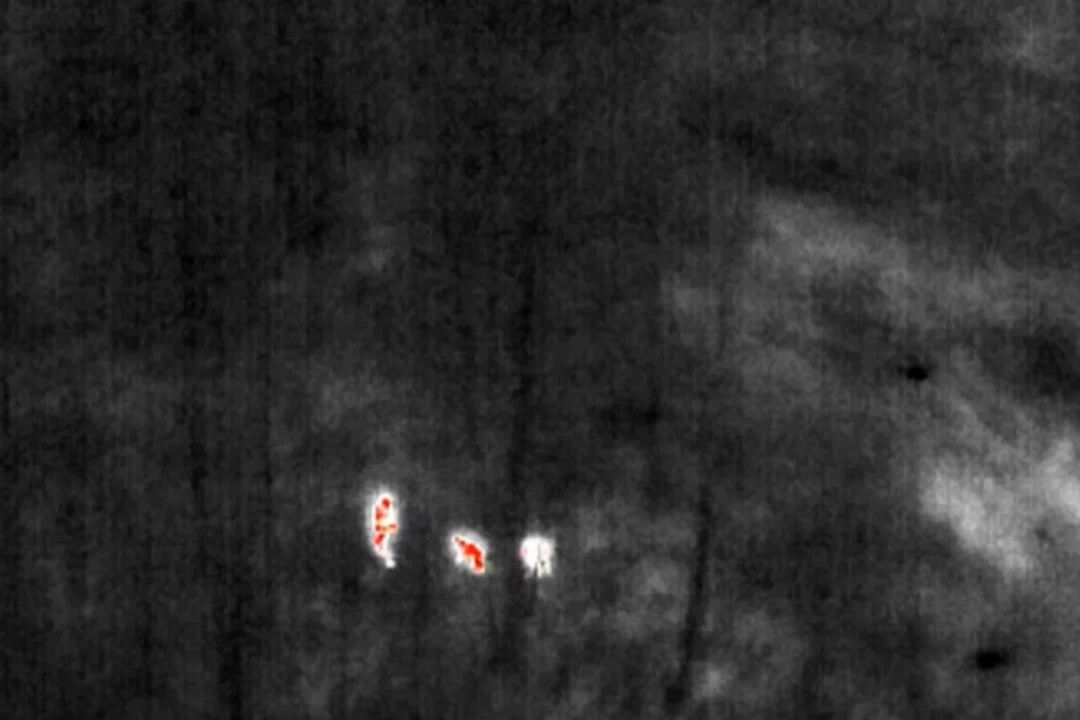 Terava ninaga teenistuskoer leidis Tapal kadunud lapse