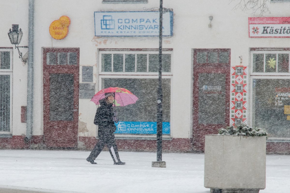 ILMAPROGNOOS | Pakasest ei pääse: ees ootab tuuline ja külm nädal - Maaleht