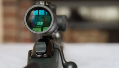 Manijal lähedasi ähvardanud mehelt võeti ära koguni kaks relva - Pärnu Postimees