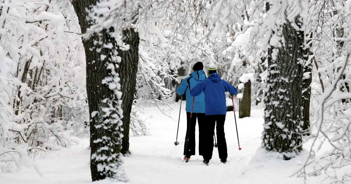 "100 suusatundi" avab suusarahvale 700 kilomeetrit terviseradu - Virumaa Teataja