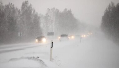 Kogu Eesti sai laupäevaks tugeva tuule hoiatuse - Postimees