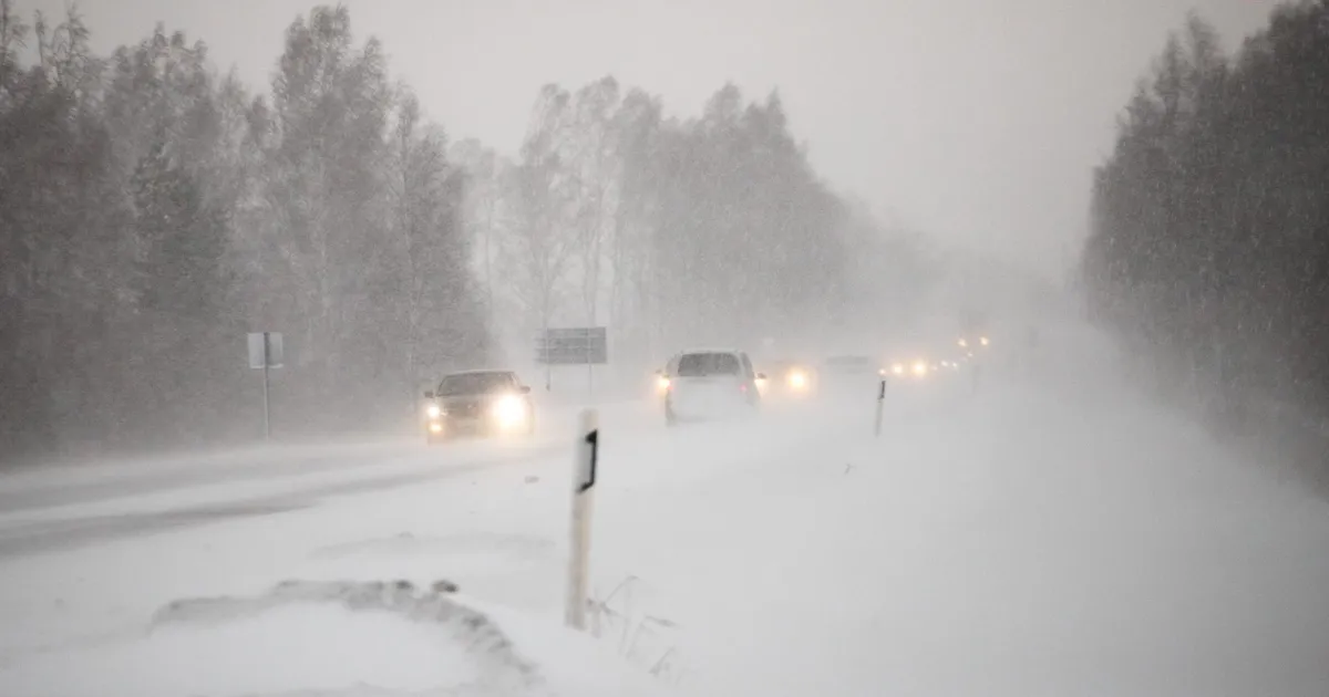 Kogu Eesti sai laupäevaks tugeva tuule hoiatuse - Postimees