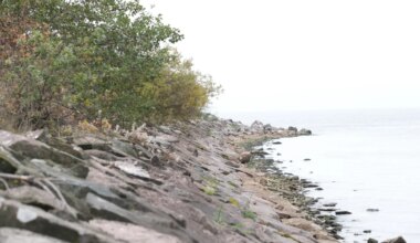 EESTI JA VENEMAA KOHTUMINE ⟩ Idanaabrid jätkuvalt ei tunnistanud ebaseaduslikku piiriületust Vasknarvas