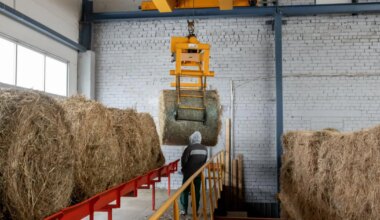 Lihulas on katlamaja rikke tõttu kodud ja asutused kütteta