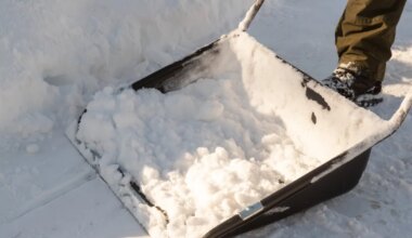 NÄDALA ILMAPROGNOOS ⟩ Suurt lumelisa pole oodata - Pärnu Postimees