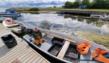 Ministeeriumid on angerjate kaitsmise küsimuses eri meelt | Majandus