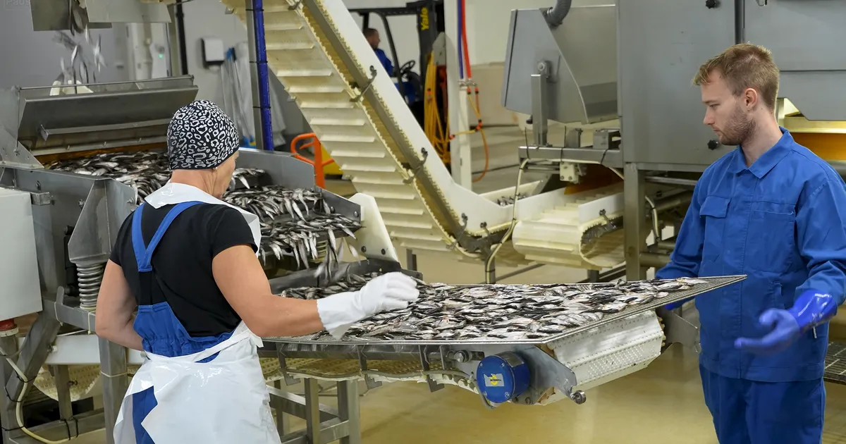 SAARELT 29 ETTEVÕTET ⟩ Vaata, kas tööinspektsioon kontrollib tänavu ka sinu tööandjat - saartehaal.postimees.ee